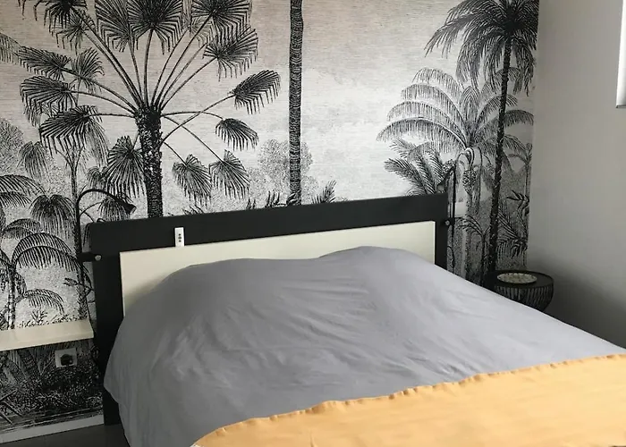 La Des Maraichers * Colmar