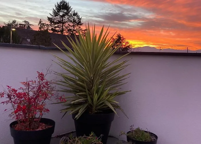 La Des Maraichers Apartman Colmar