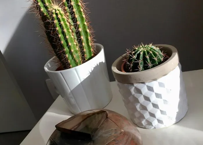 Apartman La Des Maraichers Colmar