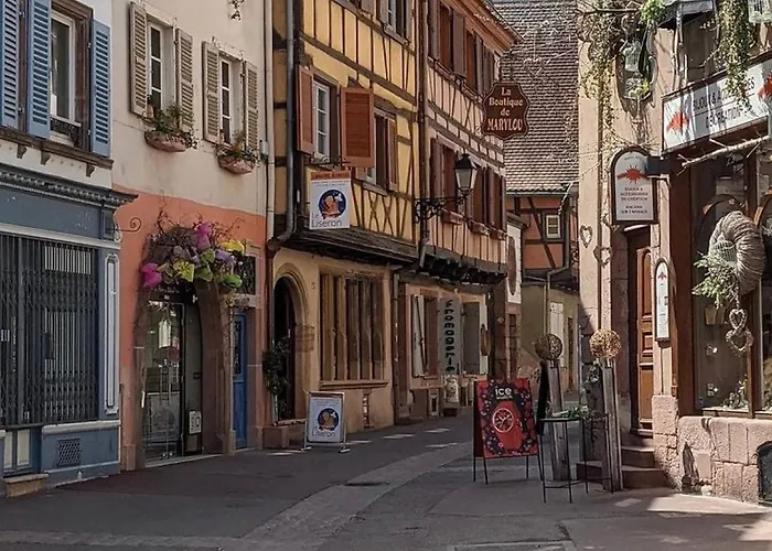 La Des Maraîchers Colmar