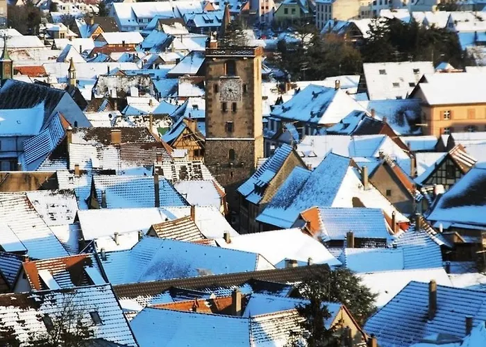 La Des Maraichers Apartment Colmar